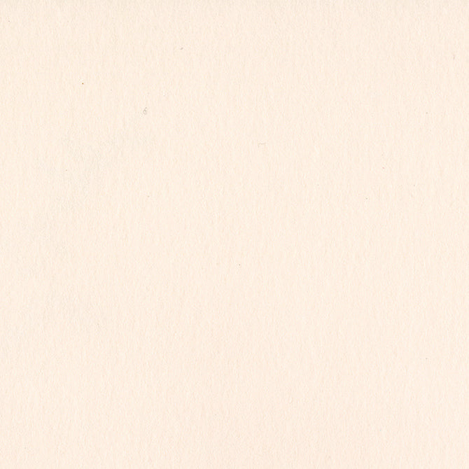 PALE ROSE 100 lb Pink Cardstock 12x12 Smooth Card Making Paper The