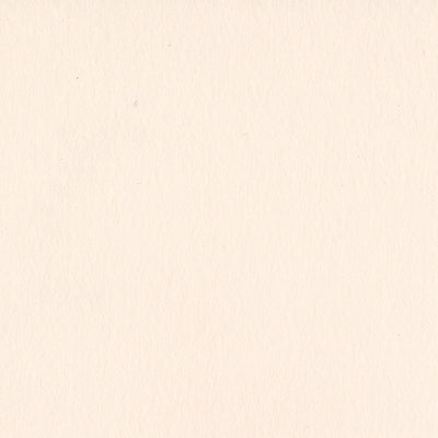 PALE ROSE - Bazzill Card Shoppe 100 lb Cardstock
