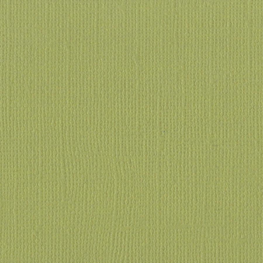Bazzill Basics PARAKEET green cardstock - 12x12 inch - 80 lb - textured scrapbook paper