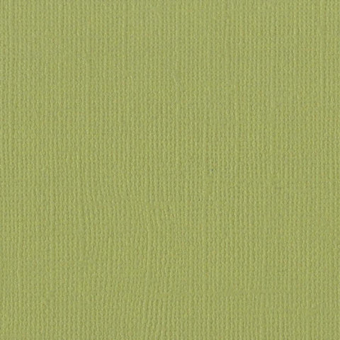 Sage Green Cardstock Paper  Specialty Papers – 12x12 – The 12x12 Cardstock  Shop