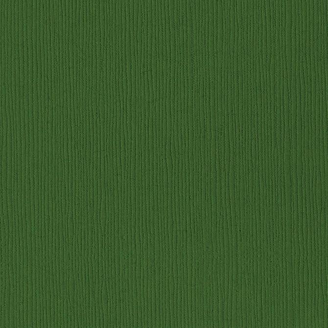 Bazzill Basics PATCH green cardstock - 12x12 inch - 80 lb - textured scrapbook paper