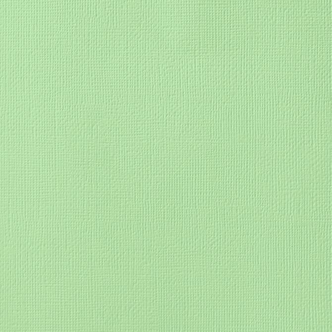 PEAPOD green cardstock - 12x12 inch - 80 lb - textured scrapbook paper - American Crafts