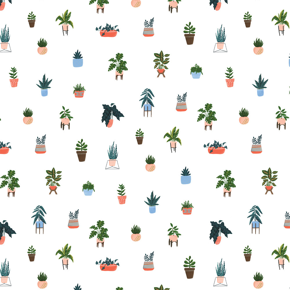 HOUSE PLANTS - 12x12 Double-Sided Patterned Paper - Echo Park