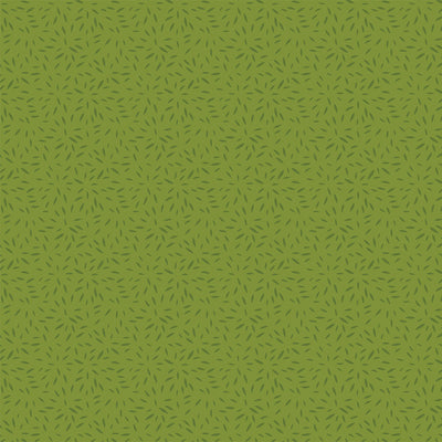 HOUSE PLANTS - 12x12 Double-Sided Patterned Paper - Echo Park
