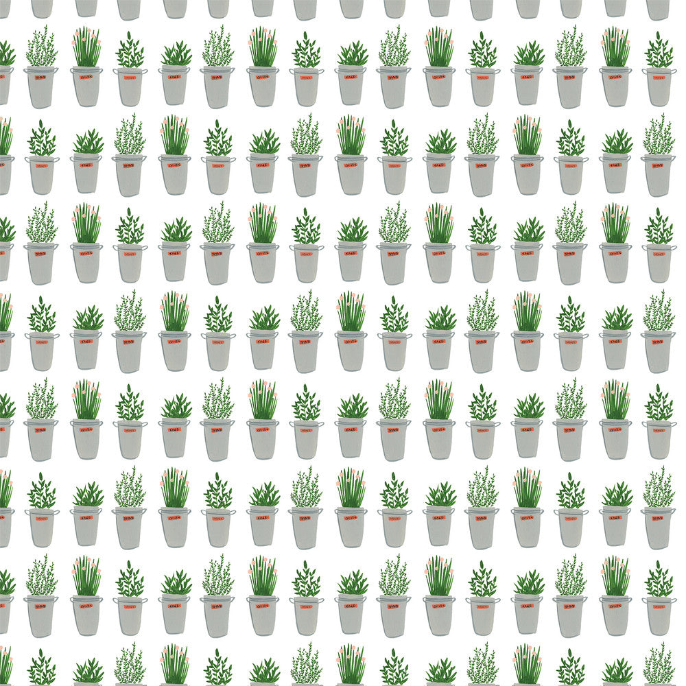 PLANT LADY 4X6 JOURNALING CARDS - 12x12 Double-Sided Patterned Paper - Echo Park