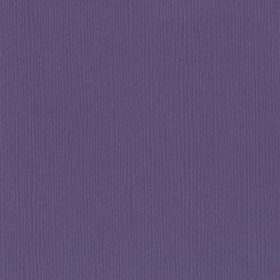 PURPLE PIZZAZZ purple cardstock - 12x12 inch - 80 lb - textured scrapbook paper - Bazzill Basics Paper