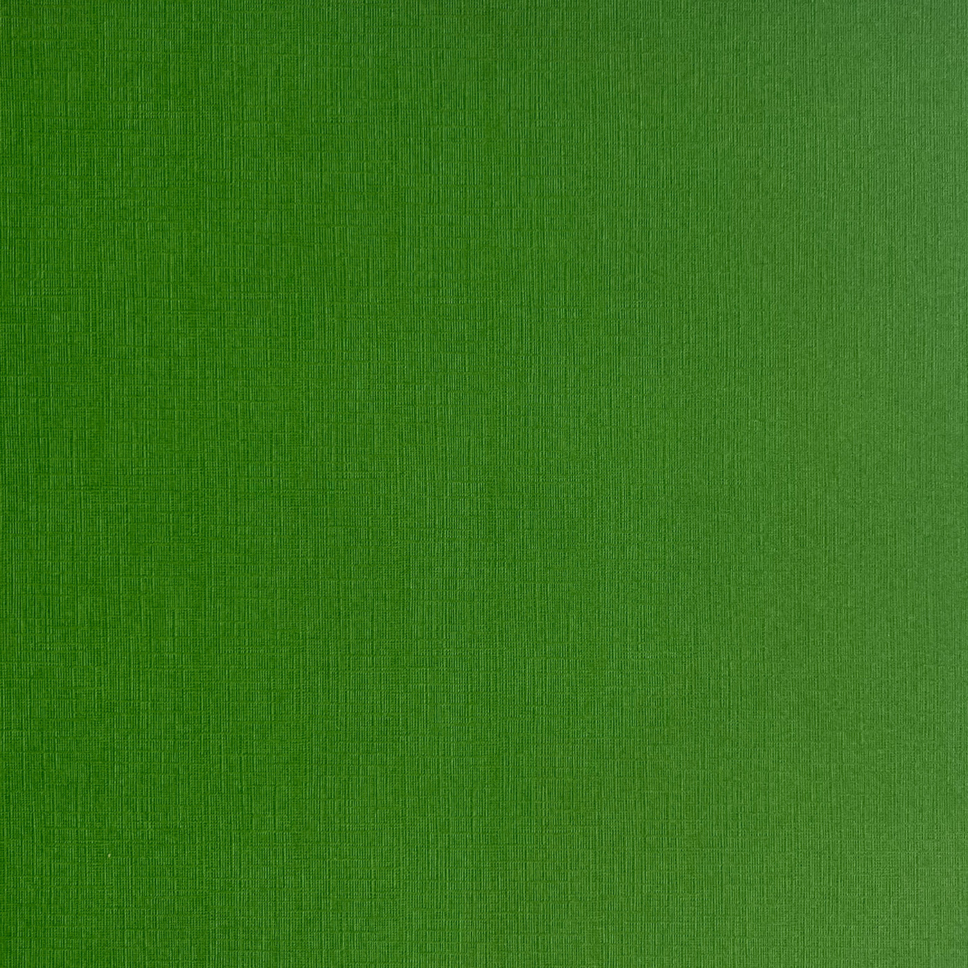 Parrot - Textured 12x12 Cardstock - Forest green canvas scrapbook paper
