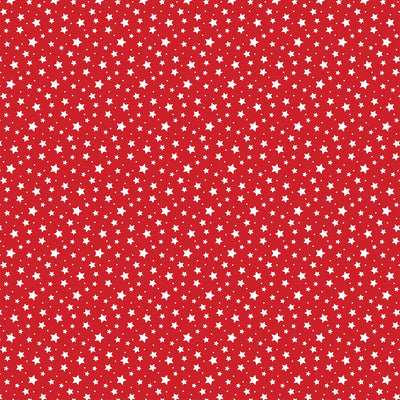 MAIN STREET - 12x12 Double-Sided Patterned Paper