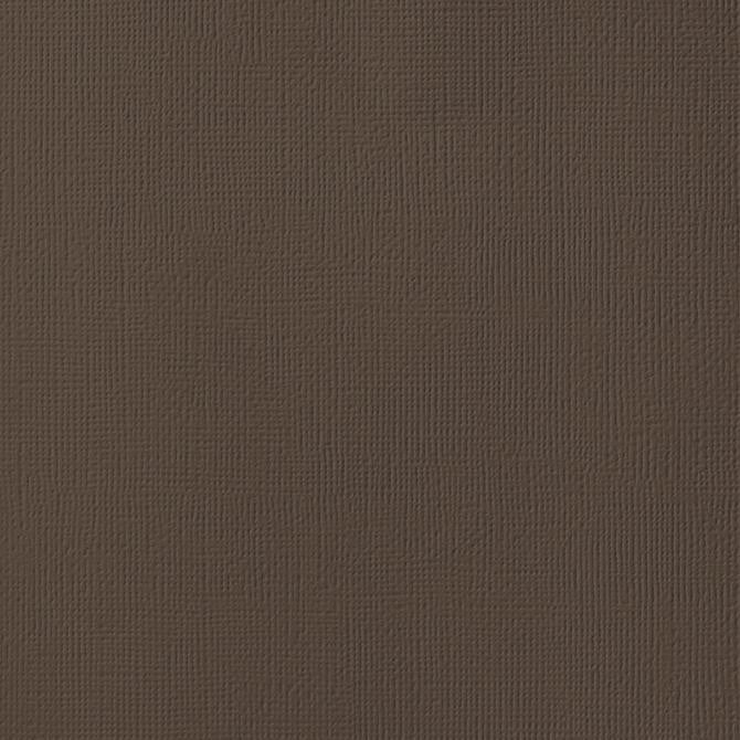 ROCKY ROAD brown cardstock - 12x12 inch - 80 lb - textured scrapbook paper - American Crafts