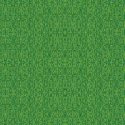 HIKE - 12x12 Double-Sided Patterned Paper - Echo Park