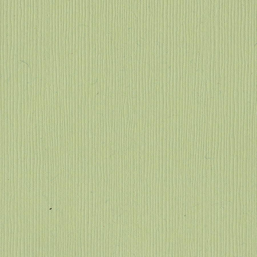 Bazzill Basics SPRING BREEZE - light green cardstock - 12x12 inch - 80 lb - textured scrapbook paper