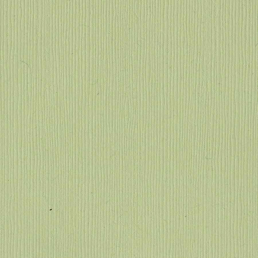 Bazzill Basics SPRING BREEZE - light green cardstock - 12x12 inch - 80 lb - textured scrapbook paper