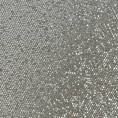 SILVER COINS Sequin Glitter Cardstock - silver disco ball glitter 