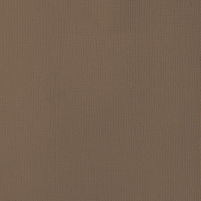 TRUFFLE brown cardstock - 12x12 inch - 80 lb - textured scrapbook paper - American Crafts