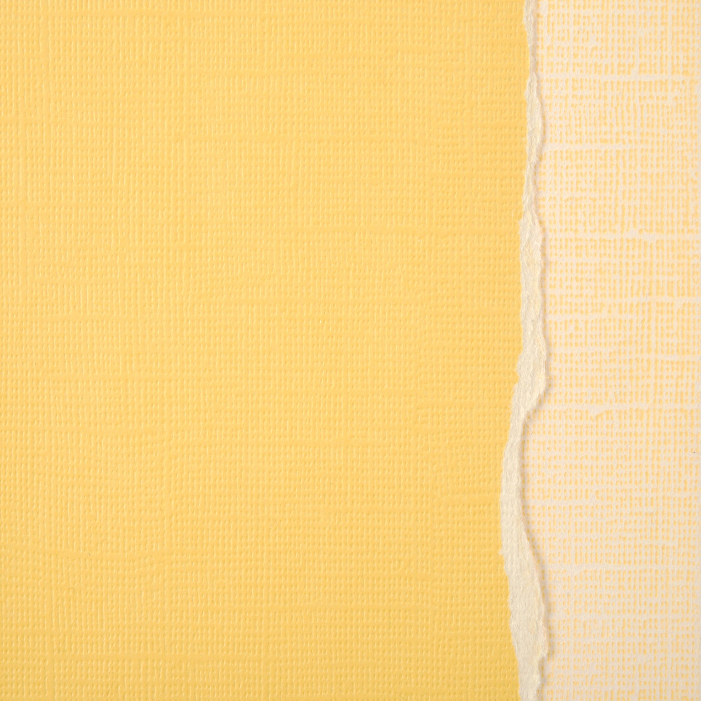 TULIP - 12x12 Sandable Cardstock - Core'dinations