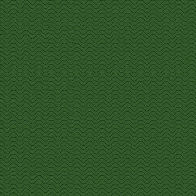 TWIRLING TURTLES - 12x12 Double-Sided Patterned Paper - Echo Park