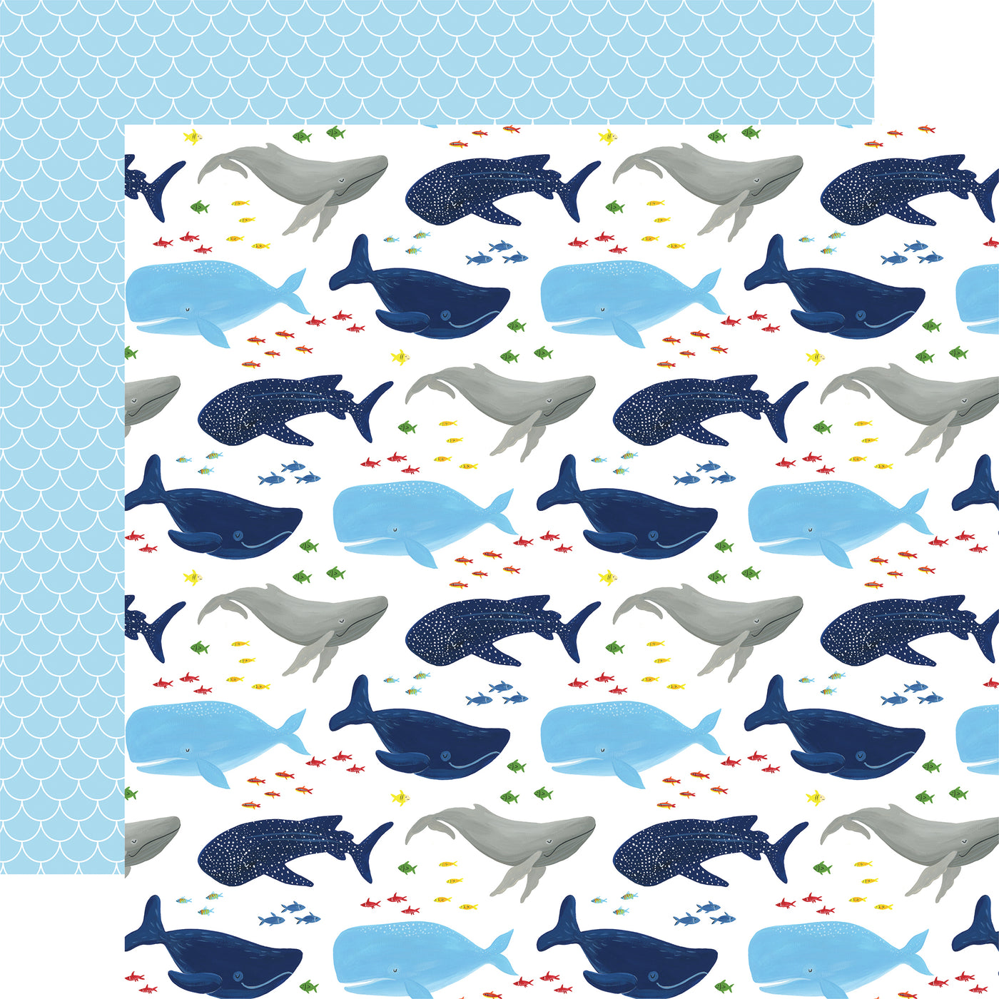 UNDER SEA ADVENTURES 12x12 Collection Kit - Echo Park