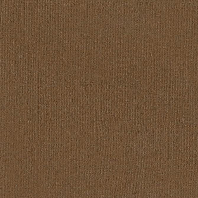 Bazzill Basics WALNUT brown cardstock - 12x12 inch - 80 lb - textured scrapbook paper