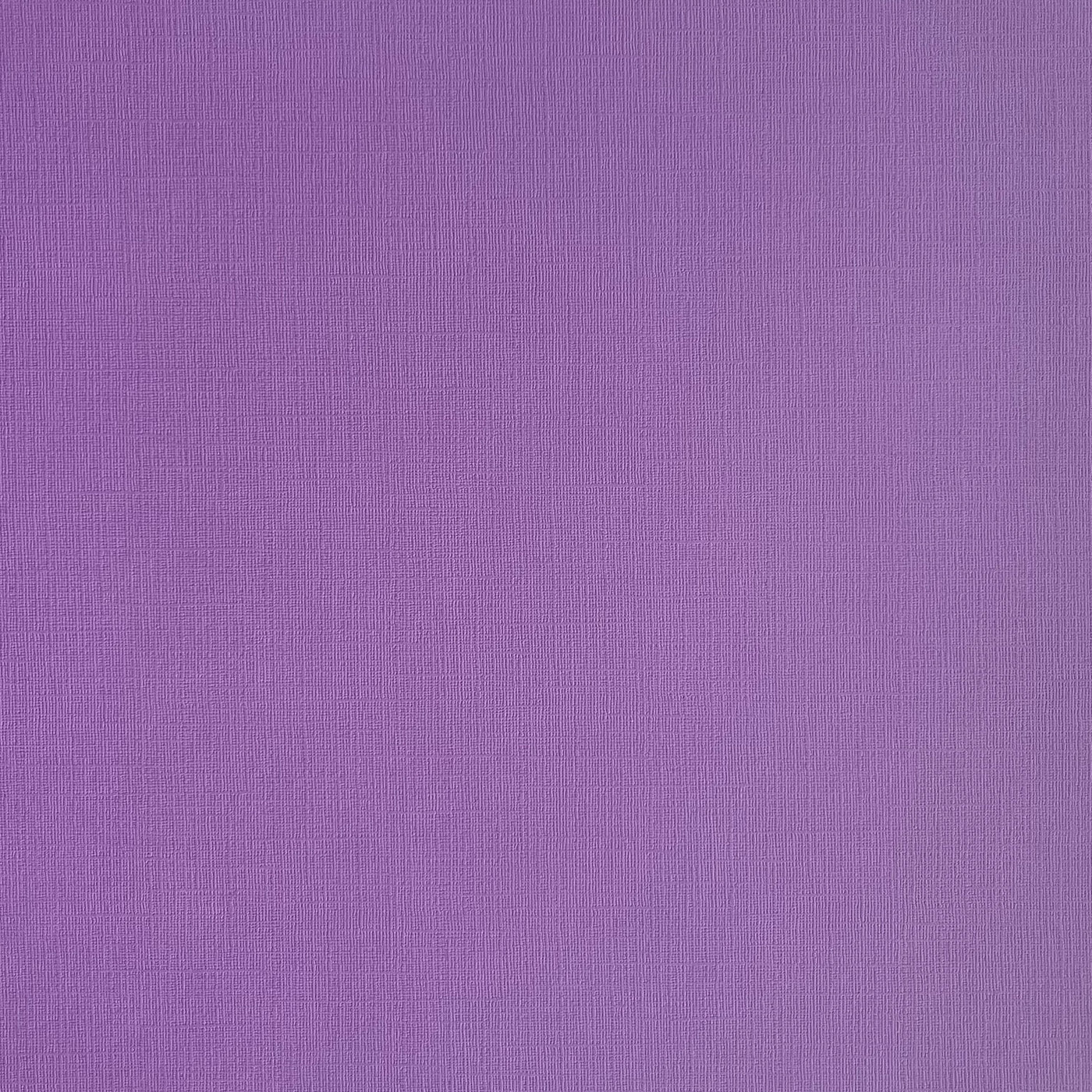 Wild Flower - Textured 12x12 Cardstock - Amythest purple canvas scrapbook paper