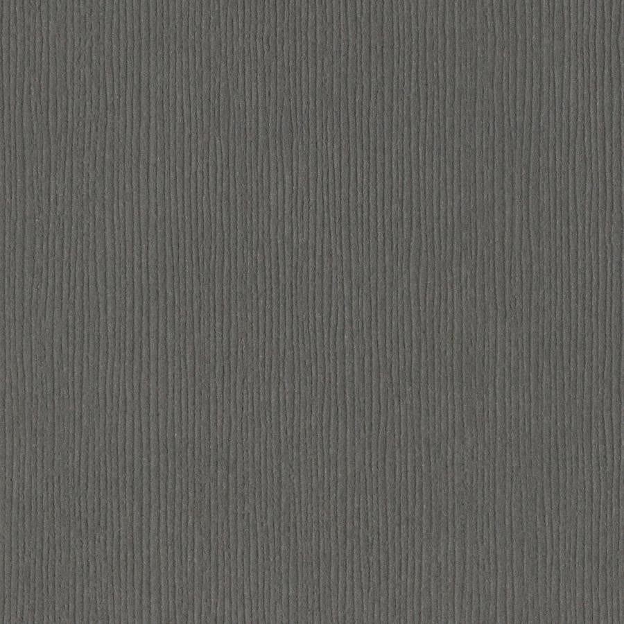 Bazzill Basics ZINC gray cardstock - 12x12 inch - 80 lb - textured scrapbook paper