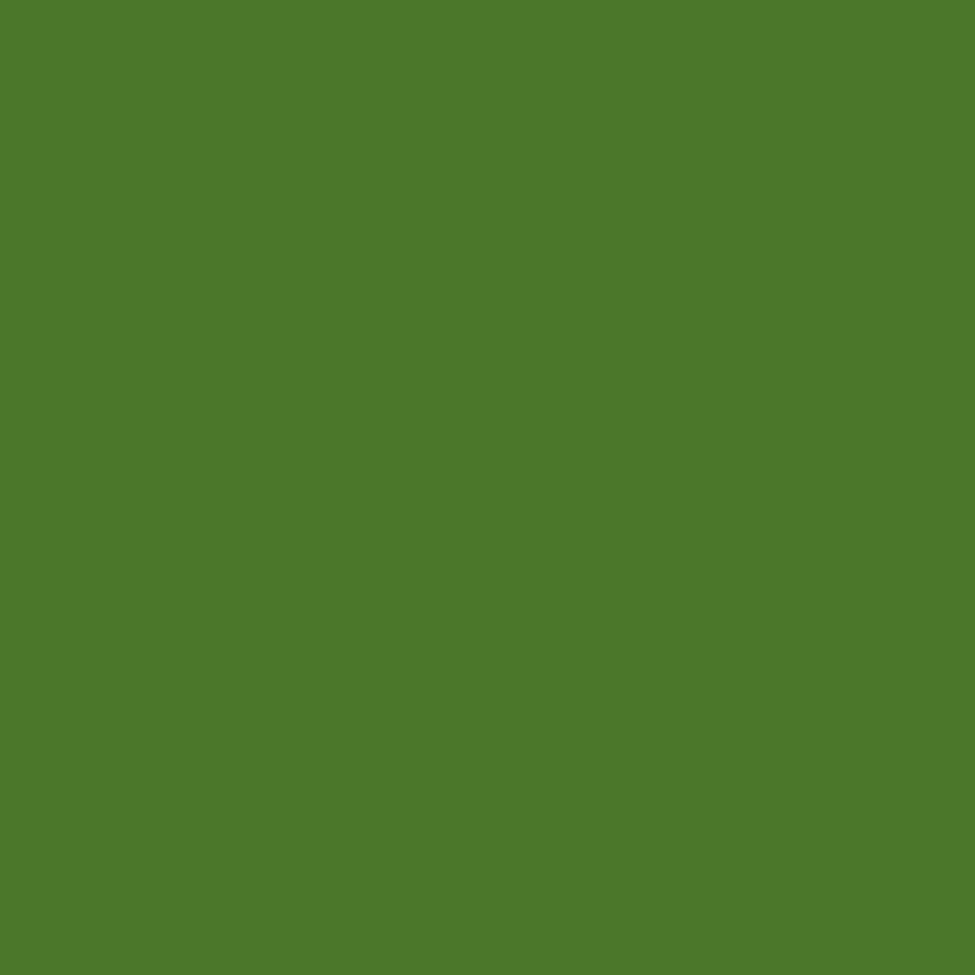 GREEN MAZE – Bazzill Mono 12x12 Cardstock