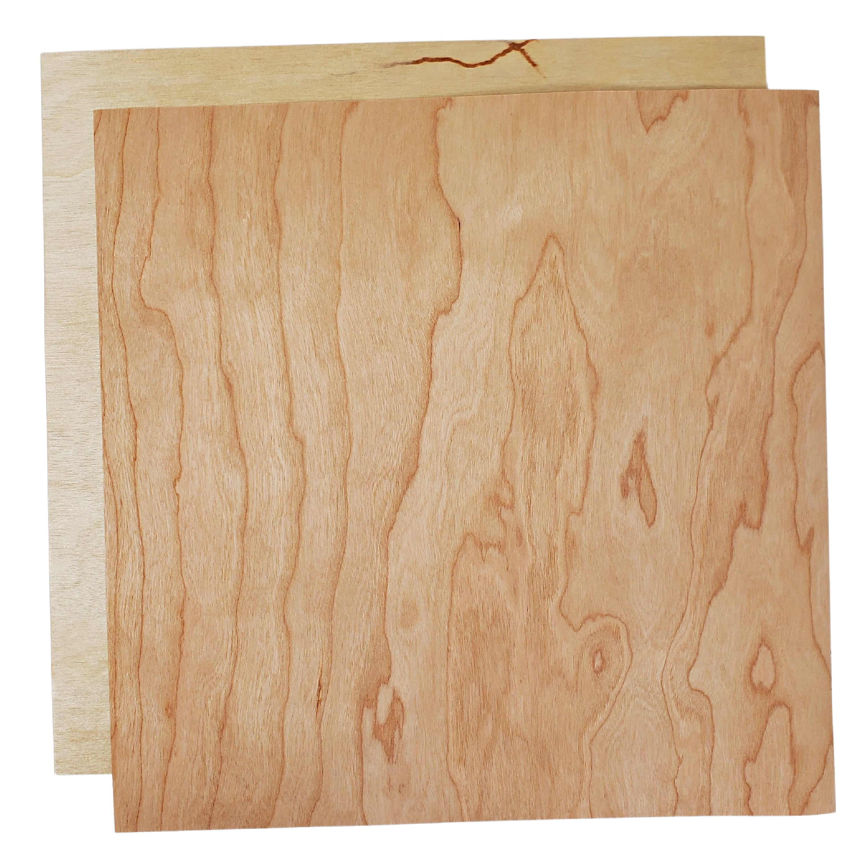 BIRCH - Paper Backed Wood - 12x12 Specialty Paper - Timberluxe