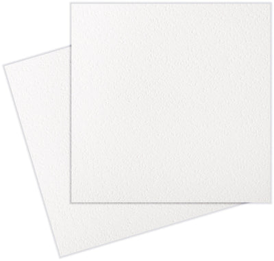 neenah canaletto granna grossa natural white 12x12 letterpress cardstock